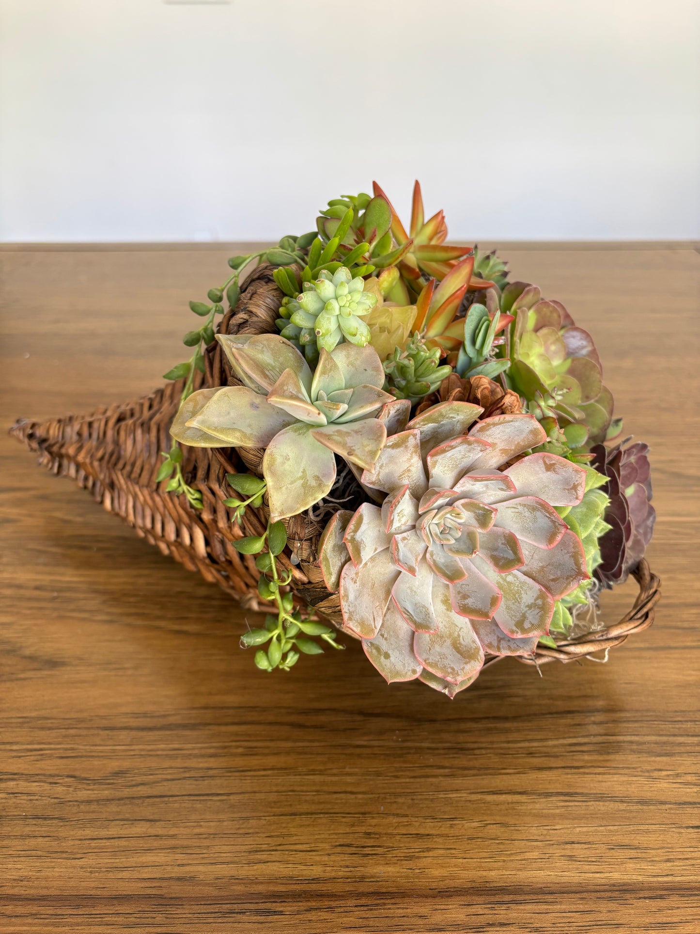 Cornucopia Succulent Arrangement