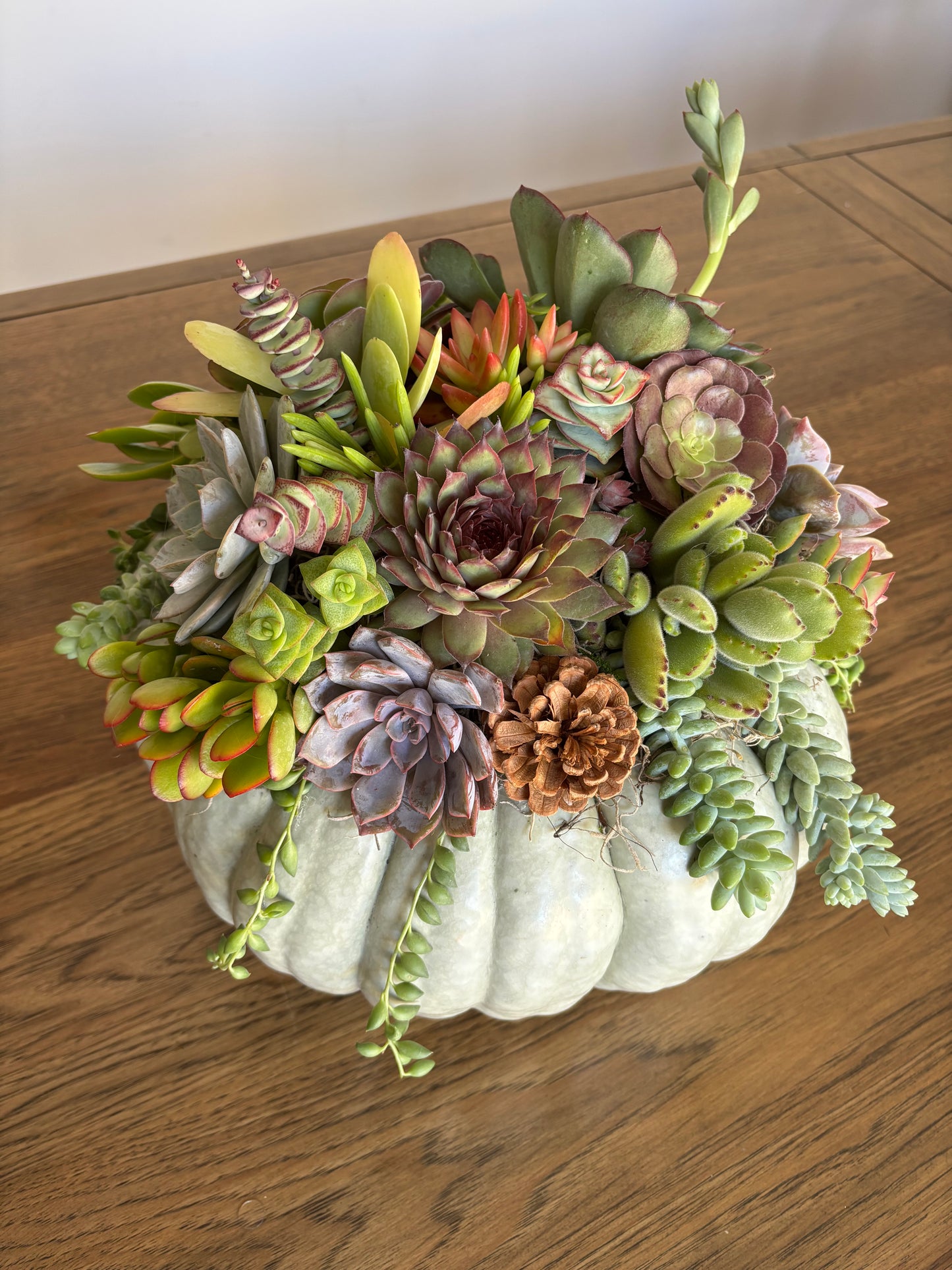 Large Fairytale Pumpkin Succulent Arrangement