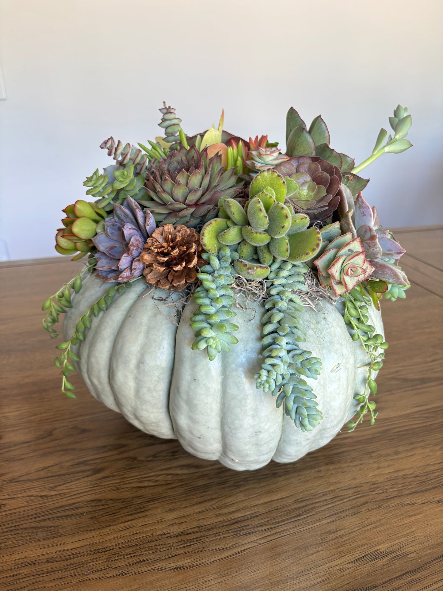 Large Fairytale Pumpkin Succulent Arrangement