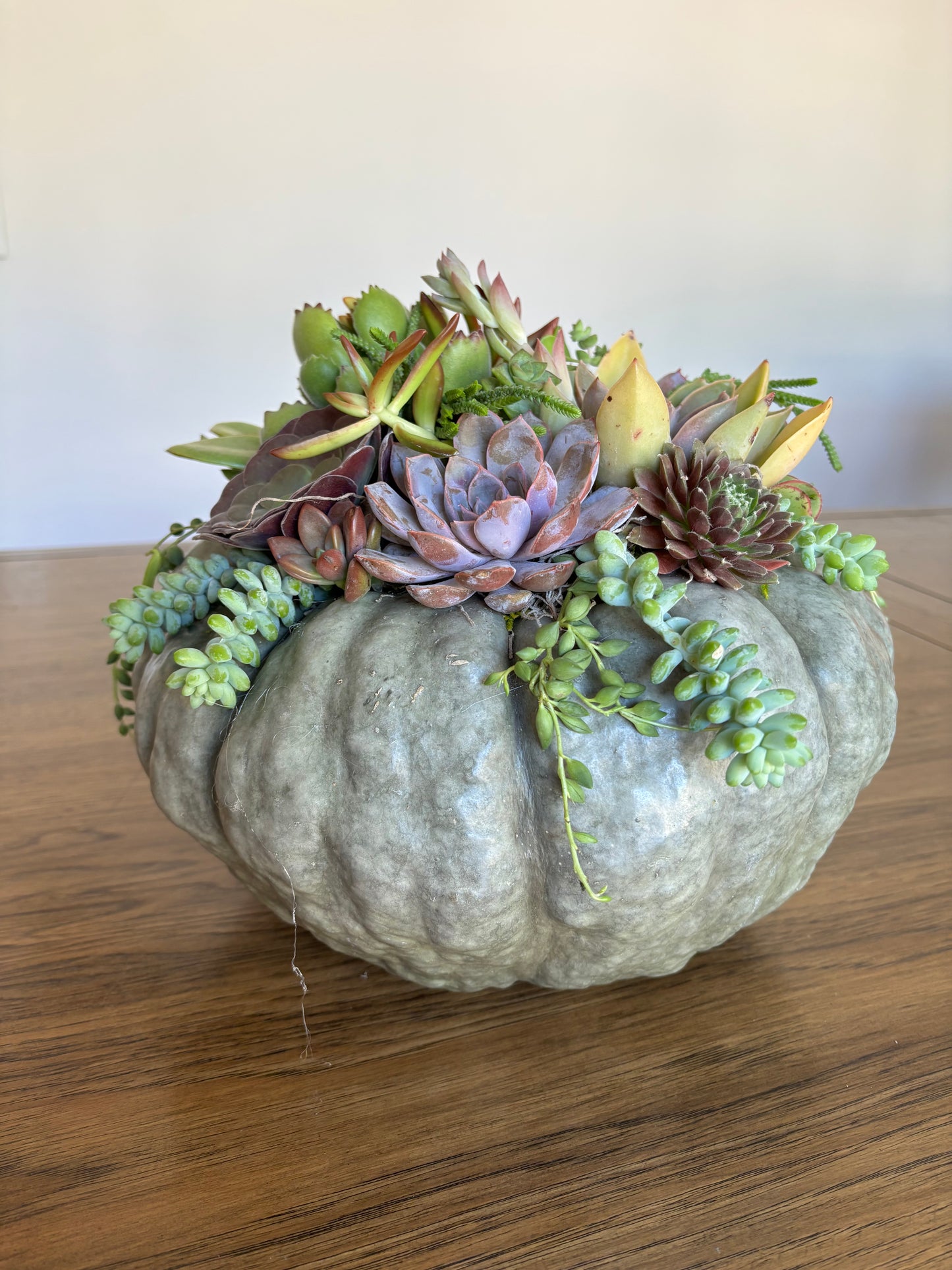 Medium Fairytale Pumpkin Succulent Arrangement