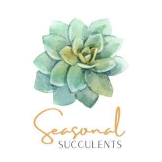 Seasonal Succulents