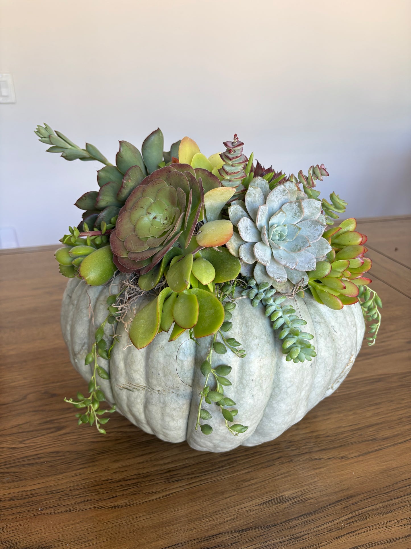 Large Fairytale Pumpkin Succulent Arrangement